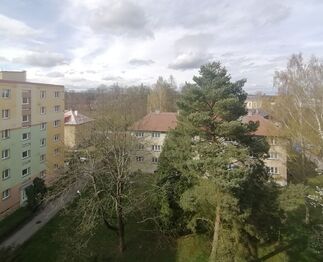Pronájem bytu 3+1 v osobním vlastnictví 66 m², Svitavy