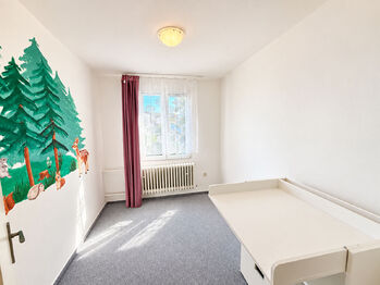 Prodej domu 150 m², Planá