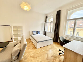 Pronájem bytu 1+1 v osobním vlastnictví 50 m², Praha 2 - Vinohrady