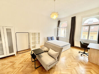 Pronájem bytu 1+1 v osobním vlastnictví 50 m², Praha 2 - Vinohrady