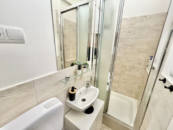 Pronájem bytu 1+1 v osobním vlastnictví 50 m², Praha 2 - Vinohrady
