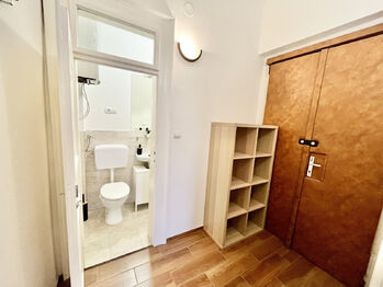 Pronájem bytu 1+1 v osobním vlastnictví 50 m², Praha 2 - Vinohrady