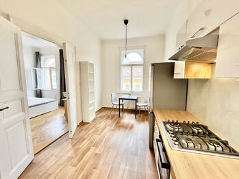 Pronájem bytu 1+1 v osobním vlastnictví 50 m², Praha 2 - Vinohrady