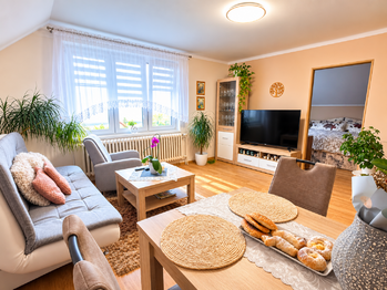 Prodej bytu 3+1 v osobním vlastnictví 61 m², Žitenice