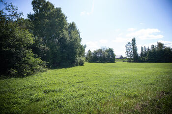Prodej pozemku 1753 m², Rožmitál pod Třemšínem