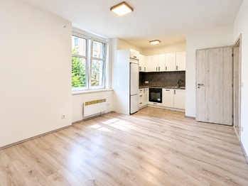 Prodej bytu 2+kk v družstevním vlastnictví 54 m², Praha 9 - Vysočany