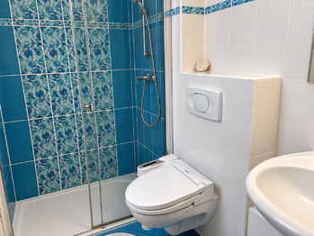 Pronájem bytu 2+1 v osobním vlastnictví 108 m², Karlovy Vary