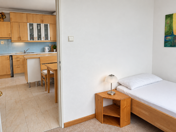 Pronájem bytu 2+1 v osobním vlastnictví 108 m², Karlovy Vary