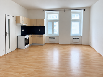 Pronájem bytu 1+kk v osobním vlastnictví 38 m², Plzeň