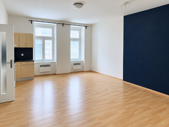 Pronájem bytu 1+kk v osobním vlastnictví 38 m², Plzeň