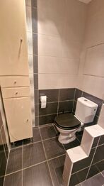 Pronájem bytu 2+1 v osobním vlastnictví 58 m², Brno
