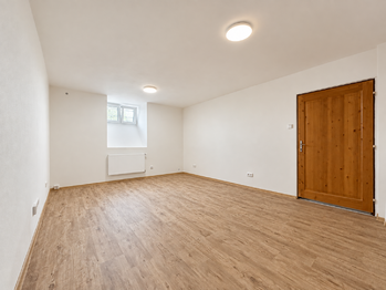 Pronájem bytu 1+1 v osobním vlastnictví 42 m², Plzeň