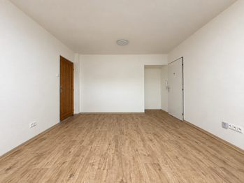 Pronájem bytu 1+1 v osobním vlastnictví 42 m², Plzeň