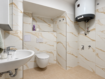 Pronájem bytu 1+1 v osobním vlastnictví 42 m², Plzeň