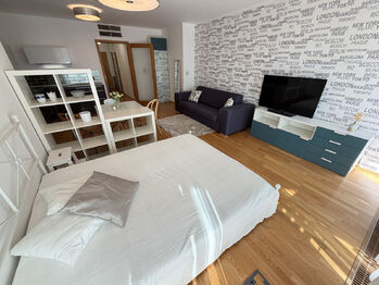Pronájem bytu 1+kk v osobním vlastnictví 44 m², Praha 3 - Žižkov