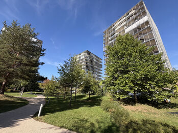 Pronájem bytu 1+kk v osobním vlastnictví 44 m², Praha 3 - Žižkov