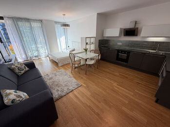 Pronájem bytu 1+kk v osobním vlastnictví 44 m², Praha 3 - Žižkov