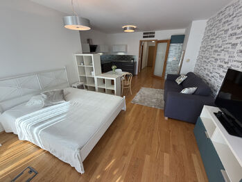 Pronájem bytu 1+kk v osobním vlastnictví 44 m², Praha 3 - Žižkov
