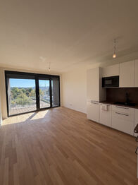 Pronájem bytu 1+kk v osobním vlastnictví 35 m², Praha 10 - Hostivař