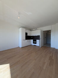 Pronájem bytu 1+kk v osobním vlastnictví 35 m², Praha 10 - Hostivař