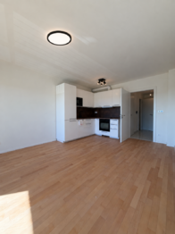 Pronájem bytu 1+kk v osobním vlastnictví 35 m², Praha 10 - Hostivař