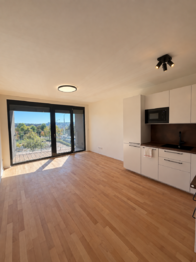 Pronájem bytu 1+kk v osobním vlastnictví 35 m², Praha 10 - Hostivař