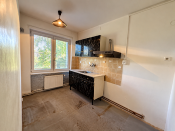 Prodej bytu 1+1 v družstevním vlastnictví 43 m², Stružnice