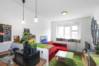 Prodej bytu 1+kk v osobním vlastnictví 27 m², Praha 3 - Žižkov