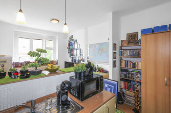 Prodej bytu 1+kk v osobním vlastnictví 27 m², Praha 3 - Žižkov