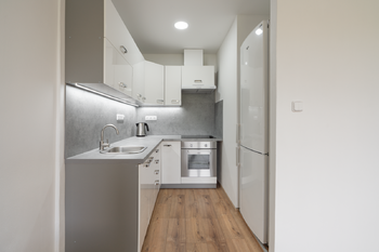 Pronájem bytu 2+kk v družstevním vlastnictví 49 m², Litvínov