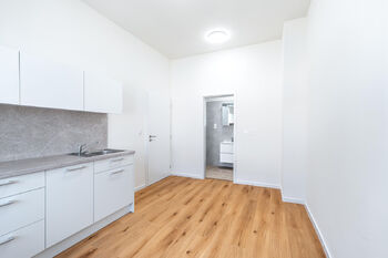 Prodej bytu 1+kk v družstevním vlastnictví 20 m², Praha 3 - Žižkov