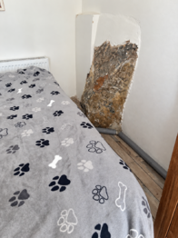 původní prvek stavby - Prodej chaty / chalupy 183 m², Krásný Les