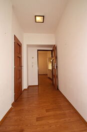 Pronájem bytu 1+1 v osobním vlastnictví 44 m², Plzeň