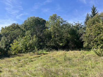Pozemek - Prodej pozemku 2157 m², Řepín