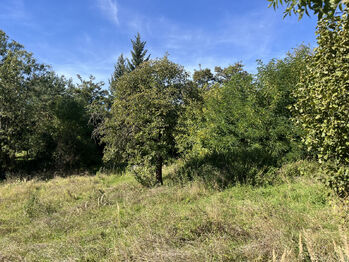 Pozemek - Prodej pozemku 2157 m², Řepín