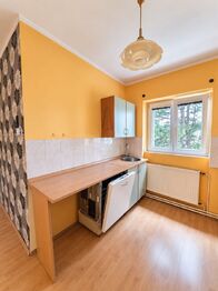 Pronájem bytu 1+kk v osobním vlastnictví 30 m², Bílina