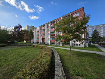 Pronájem bytu 2+1 v osobním vlastnictví 47 m², Mohelnice