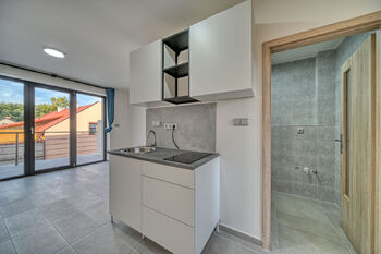 Pronájem bytu 1+kk v osobním vlastnictví 22 m², Velký Osek