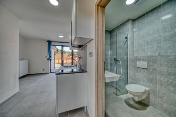Pronájem bytu 1+kk v osobním vlastnictví 22 m², Velký Osek