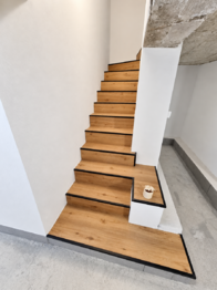 Schodiště do sklepa - Prodej domu 221 m², Ostrava