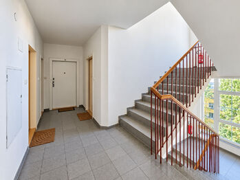 Pronájem bytu 1+1 v osobním vlastnictví 41 m², Brno