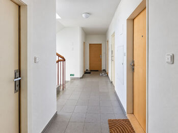 Pronájem bytu 1+1 v osobním vlastnictví 41 m², Brno