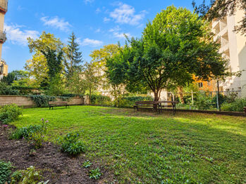 Pronájem bytu 1+1 v osobním vlastnictví 41 m², Brno