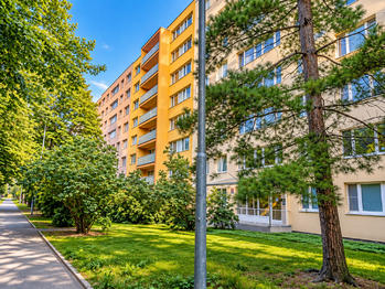 Pronájem bytu 3+1 v osobním vlastnictví 52 m², Praha 9 - Prosek