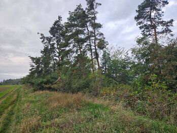 Hrdlív - Prodej pozemku 17275 m², Hrdlív