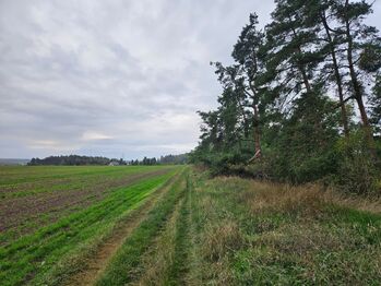 Hrdlív - Prodej pozemku 17275 m², Hrdlív
