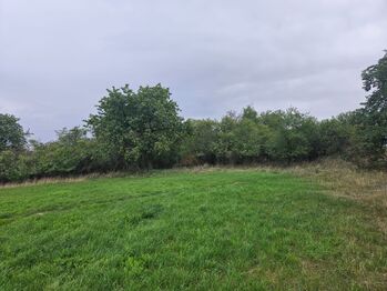 Hrdlív - Prodej pozemku 17275 m², Hrdlív
