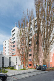 Pronájem bytu 1+1 v osobním vlastnictví 46 m², Plzeň