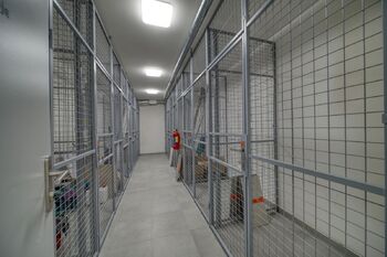 Pronájem bytu 1+kk v osobním vlastnictví 32 m², Poděbrady