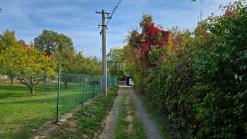 Přístupová cesta k pozemku - Prodej pozemku 1047 m², Olšany